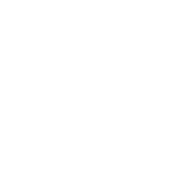 infysion energy software development