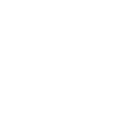 infysion industrial software solutions