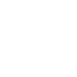 infysion industrial software solutions